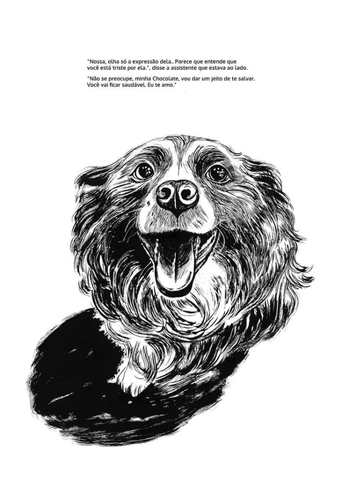 Cães